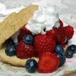 2011-09-05 Mixed Berry Shortcake 015-2