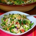 2012-03-25 Thai Chicken Salad 140