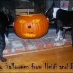Halloween 2009 008-3