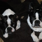 HeidiandBruno2-