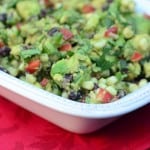 Fully Loaded Guacamole 2013-04-28 059-2
