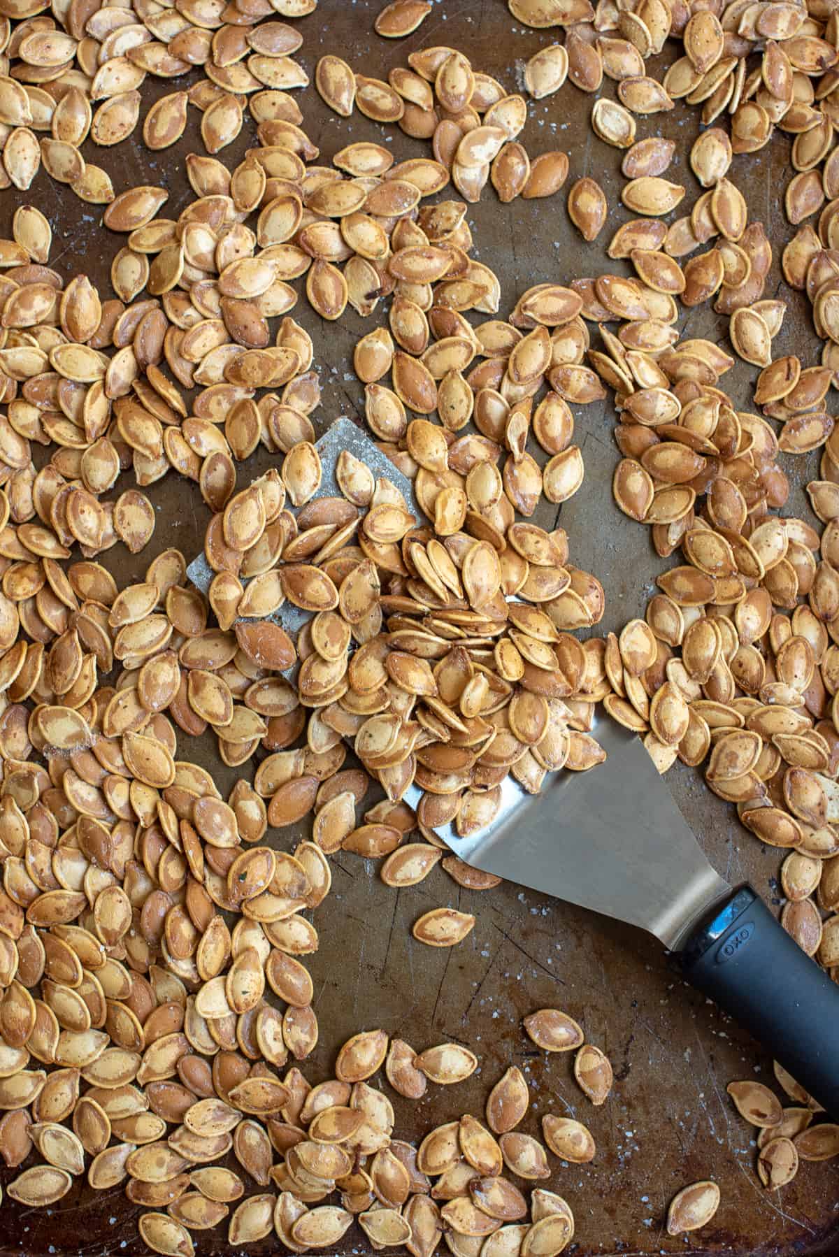 A spatula and baking sheet covered with roasted pumpkin seeds