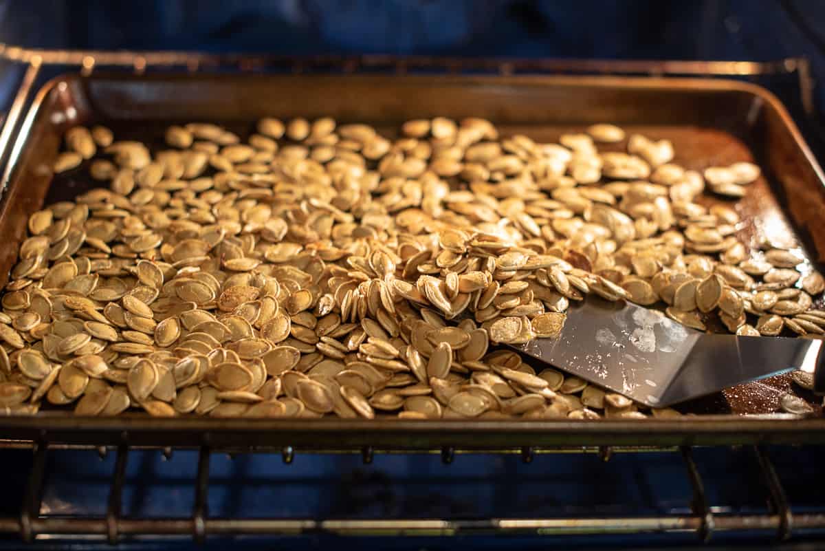 A spatula stirring pumpkin seeds on a baking sheet roasting in the oven.