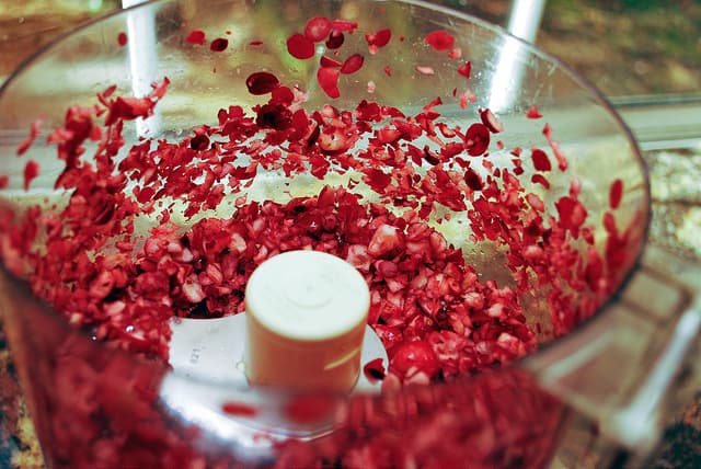 The fresh cranberries are pulsed in a food processor to break them up.