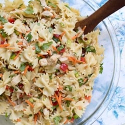 A bowl of asian pasta salad.
