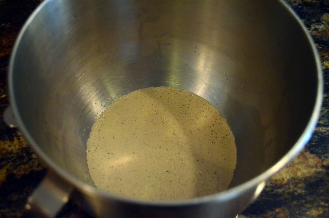 Yeast, warm water, and sugar in a stand mixer bowl.