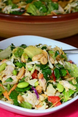 A bowl of thai chicken salad.