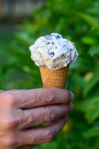 A hand holding an ice cream cone.