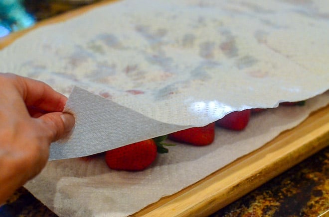 Paper towels are placed over the top of the wet strawberries to blot them dry before the flash freezing process.