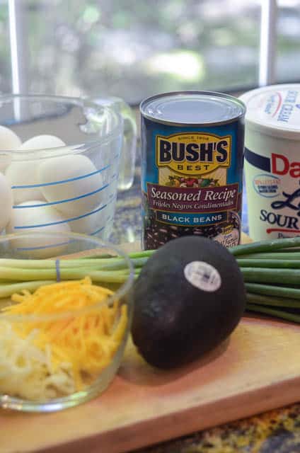 Bush's Black Bean, avocado, green onions, eggs, and shredded cheese.