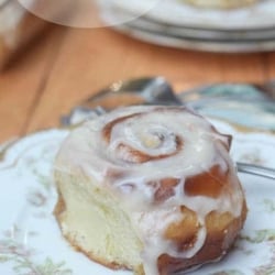 A cinnamon roll on a china plate.