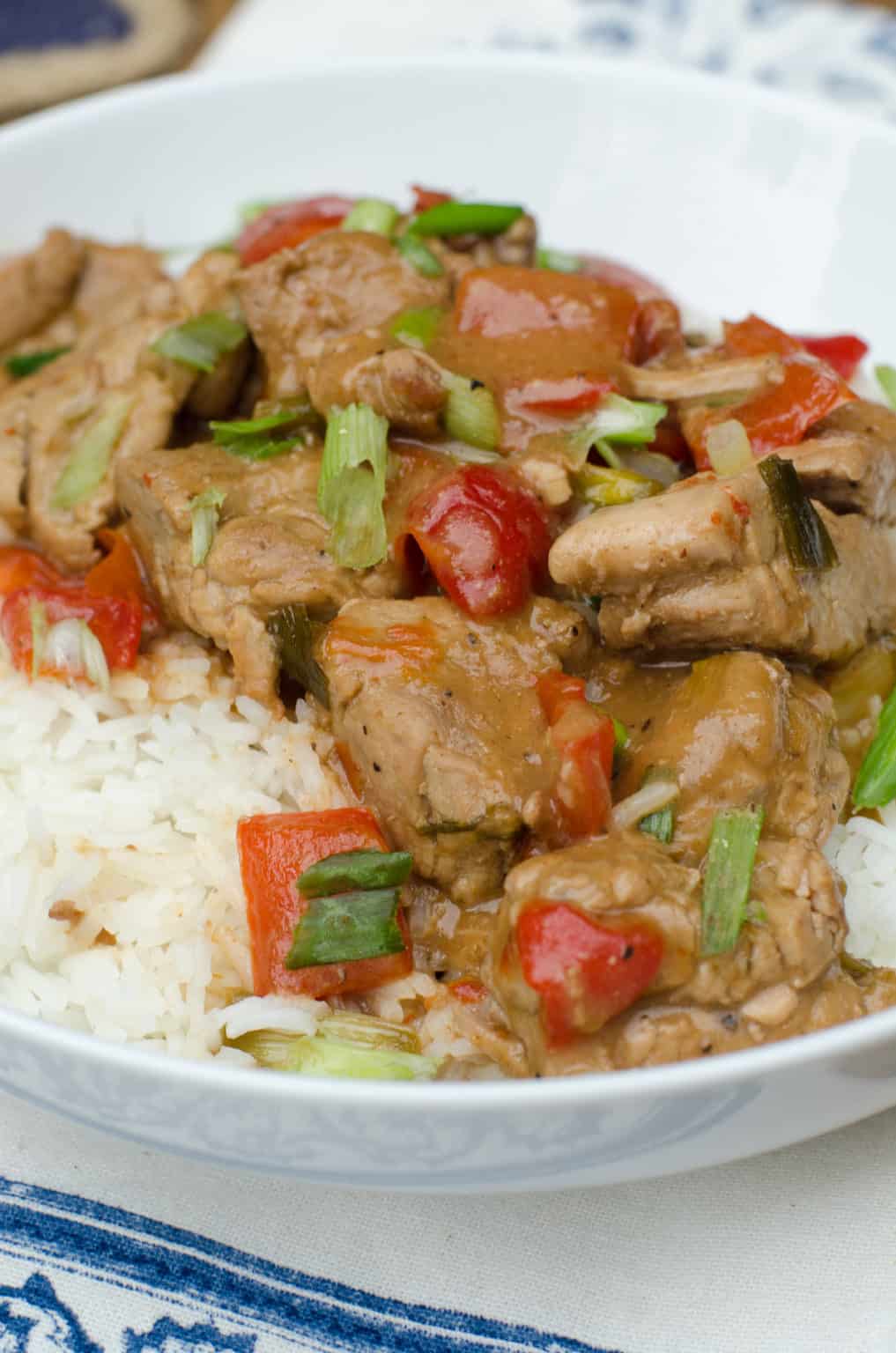 Slow Cooker Caribbean Style Pork Recipe