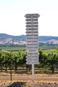 A sign on the side of the road in front of grape vines.