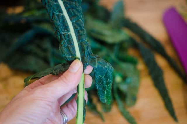 Pulling the leaves from the stem of the kale.