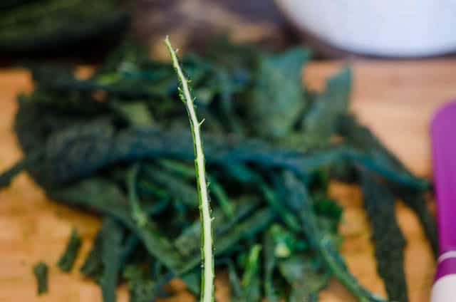 The empty kale stem.