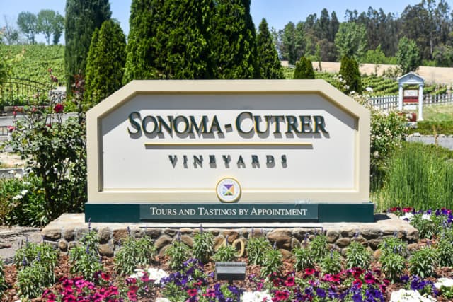 Sonoma Cutrer Vineyars - Windsor, California