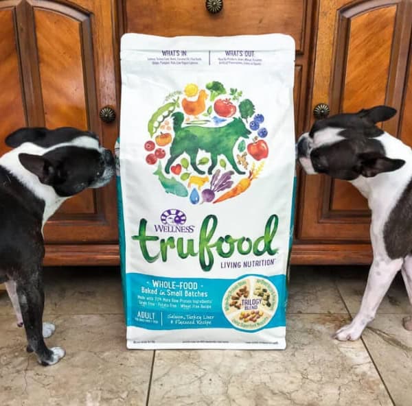 Take Your Dog to Work Day - Wellness TruFood