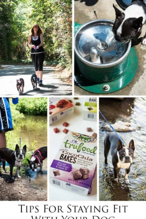 Tips for Staying Fit with Your Dog