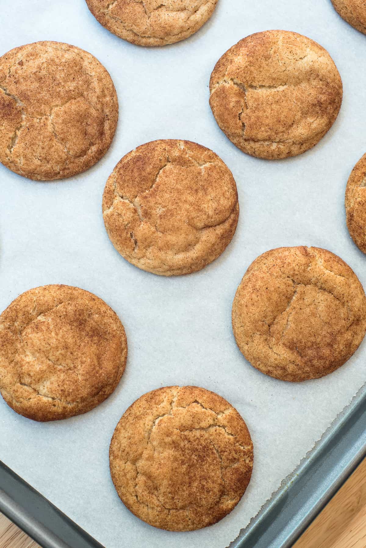 A top down shot of snickerdoodle cookies with pumpkin spice on a parchment paper lined baking sheet.