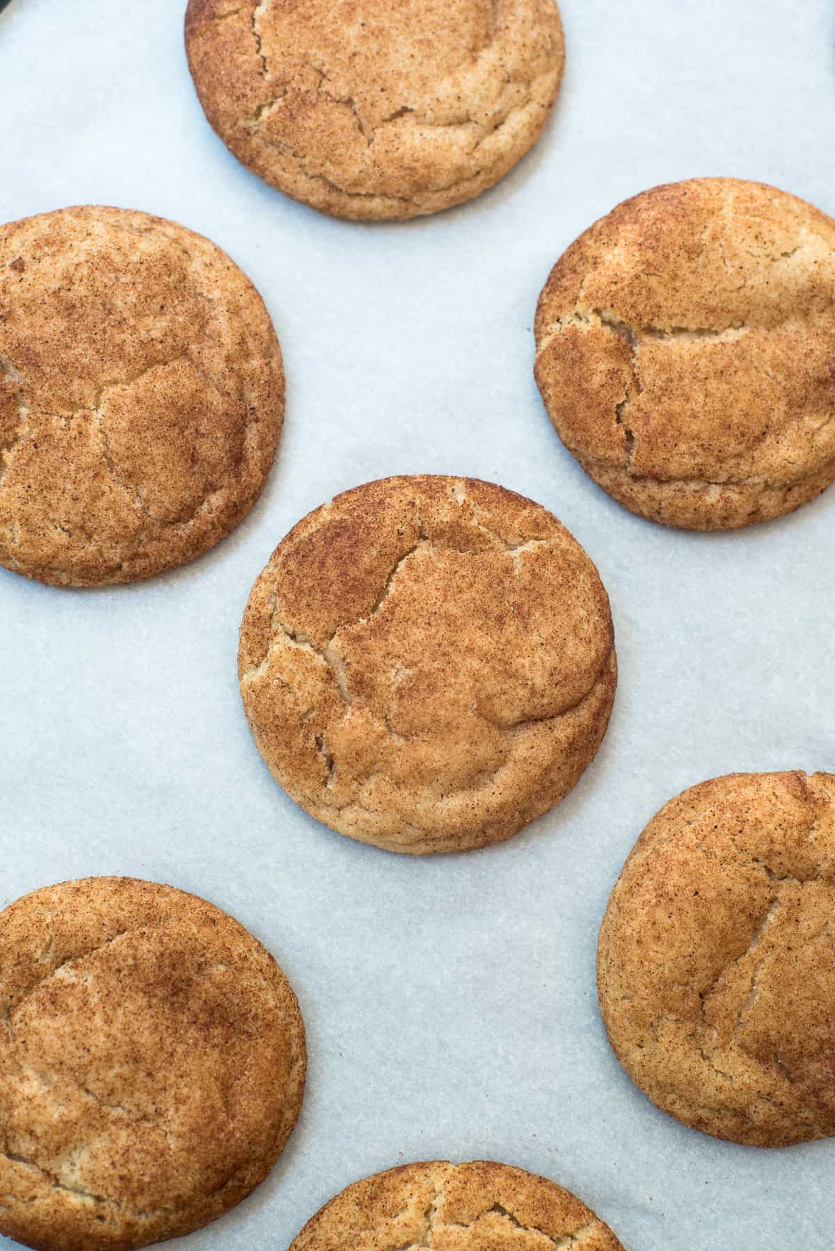 A top down shot of snickerdoodle cookies with pumpkin spice on parchment paper.