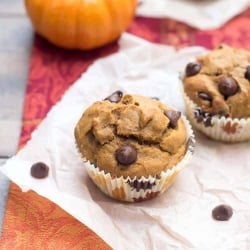 Two pumpkin chocolate chip muffins on parchment paper.