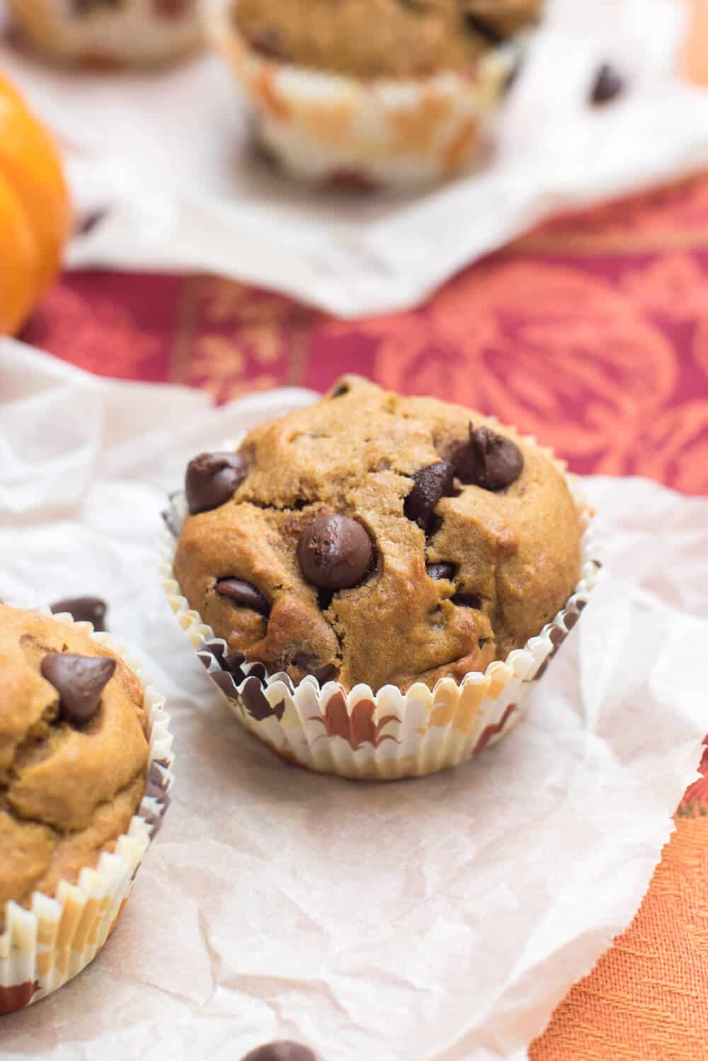 A close up of a pumpkin muffins with chocolate chips.