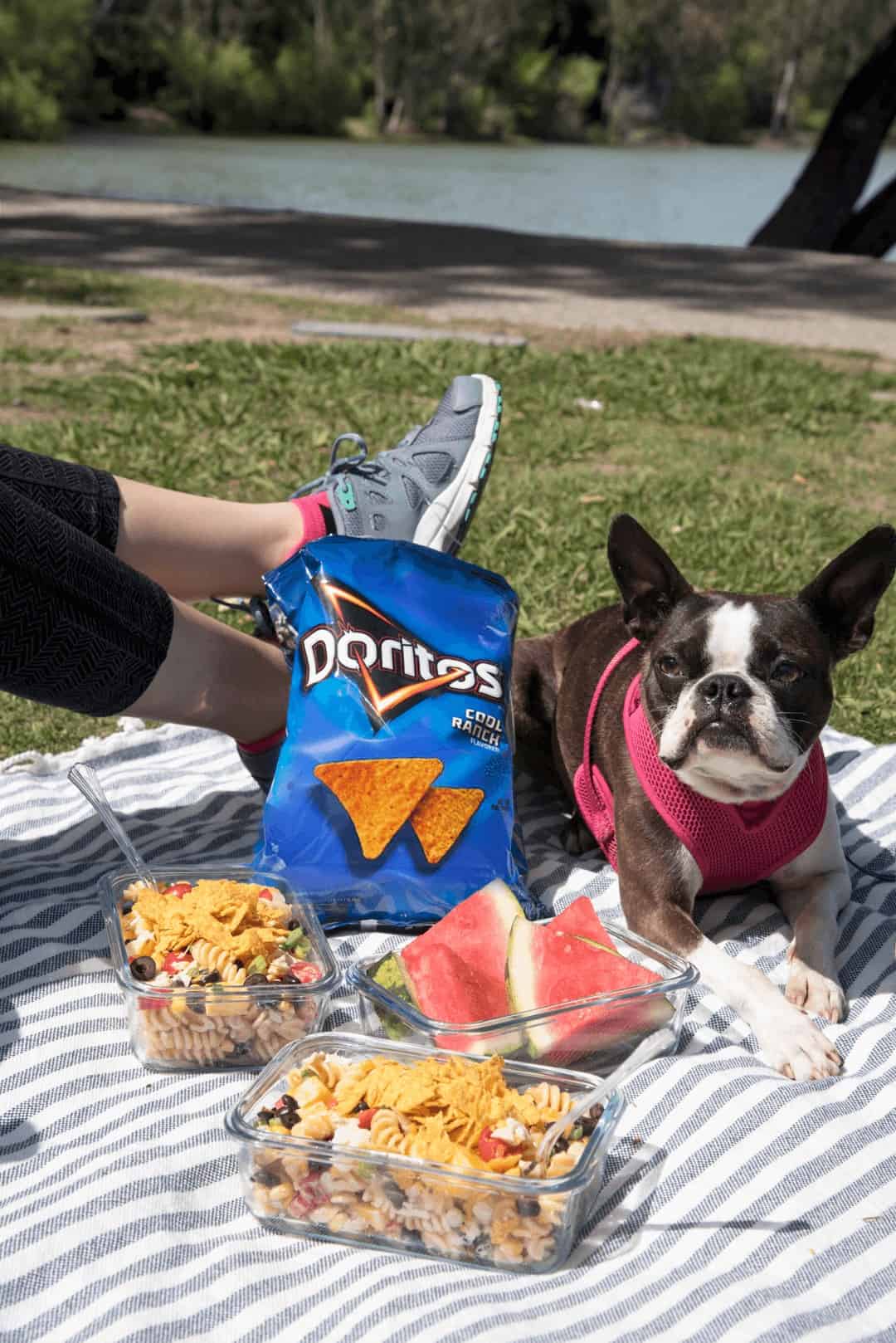 Bridget looks at the camera as she lies next to a bag of Doritos on a picnic blanket.