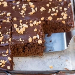 A spatula lifts a piece of chocolate cake topped with peanuts.