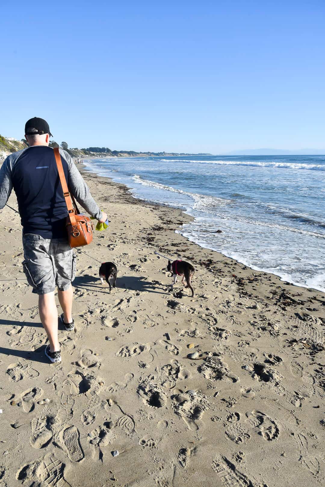Paul walks the dogs down the beach near the water.