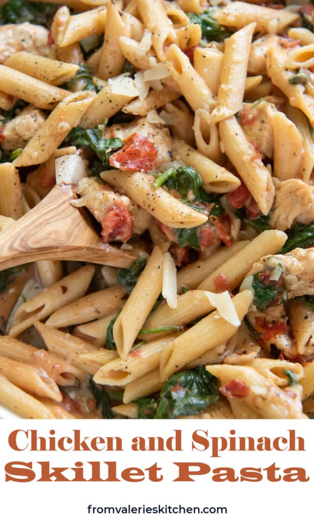 A close of of pasta with chicken and spinach with text overlay.