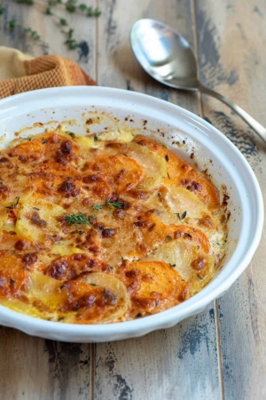 A white bowl filled with cooked sweet potato gratin.