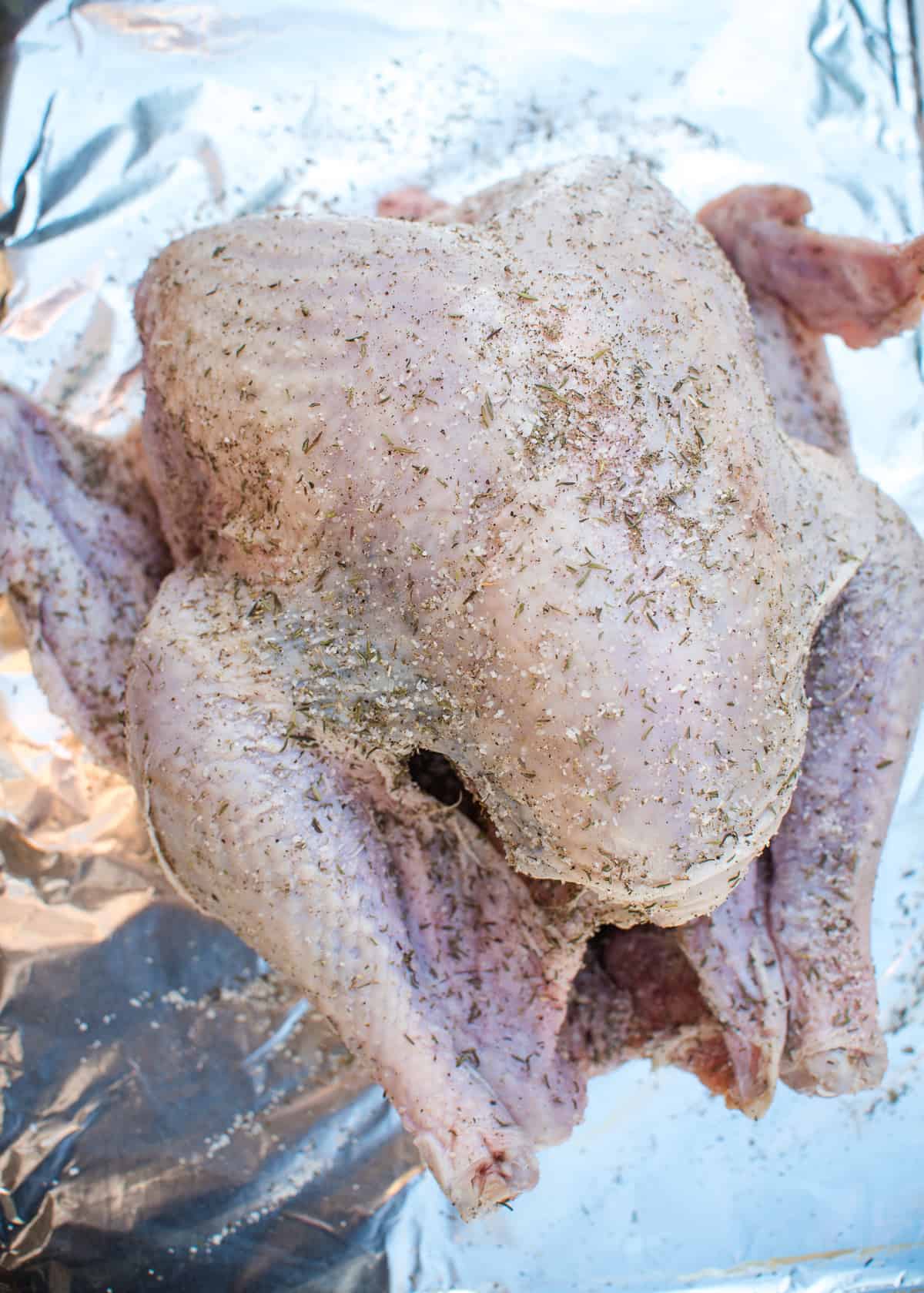 The turkey coated with the dry brine.