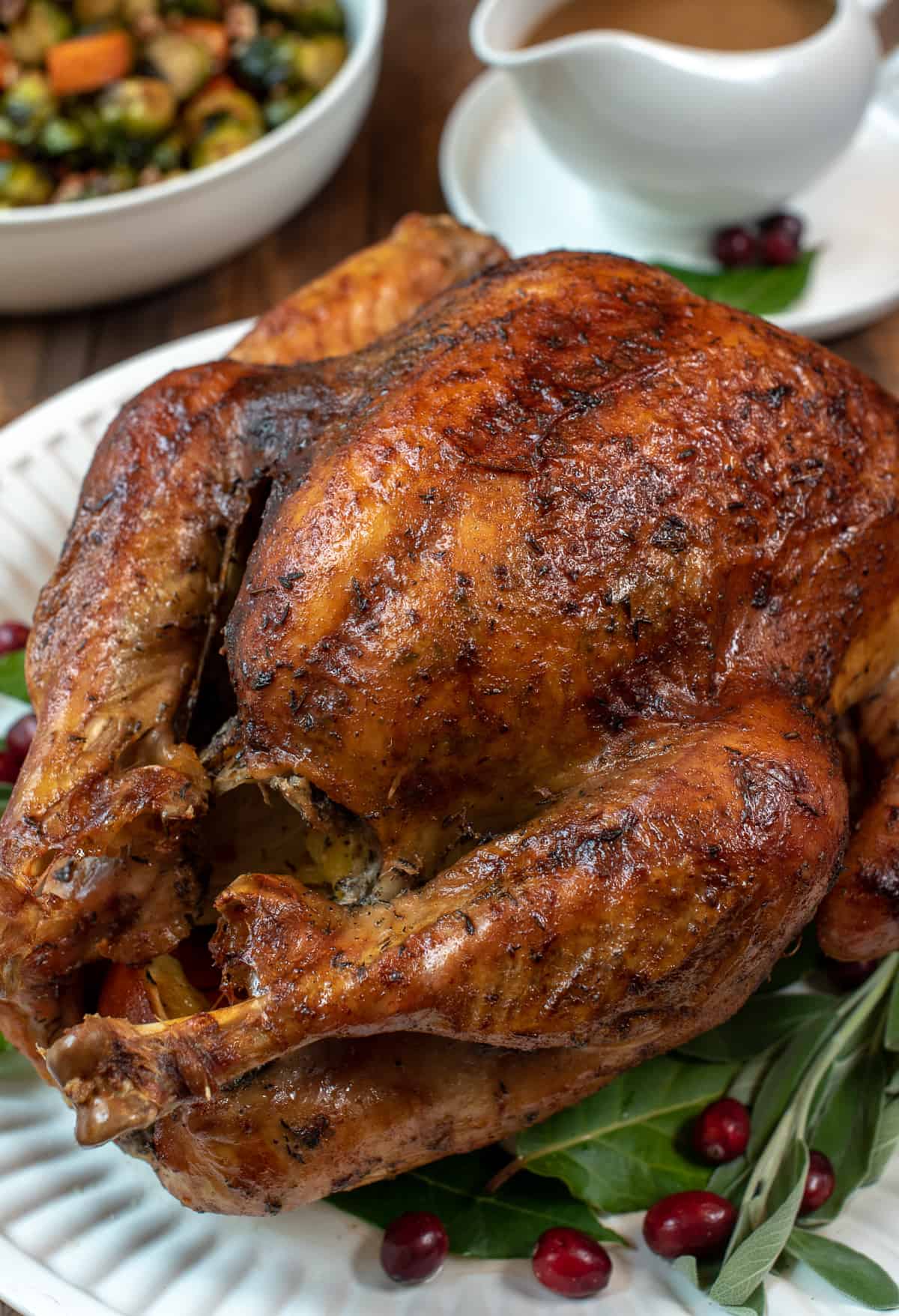 A closeup of the Dry Brine Roasted Turkey.