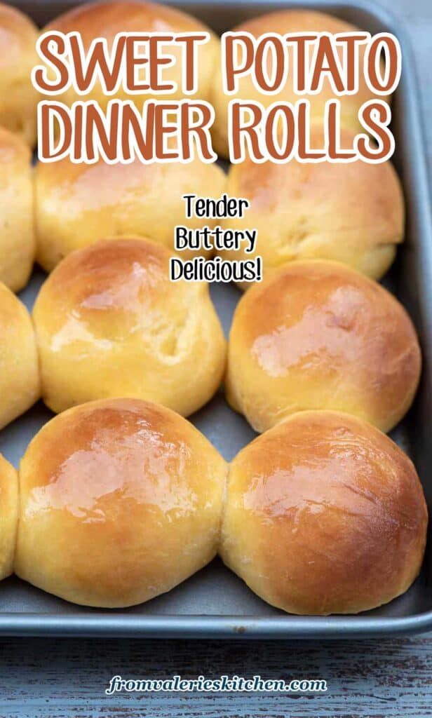 Sweet potato dinner rolls on a baking sheet with text overlay.