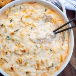 A top down shot of a small spoon resting in a white bowl filled with cheesy crab dip.