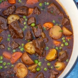 A closeup of beef stew in a pot.
