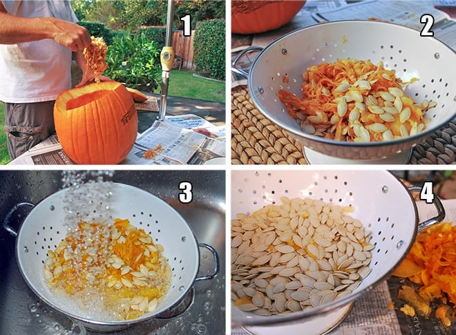 A 4 image collage of scraping the seeds from the pumpkin and rinsing them in a colander.