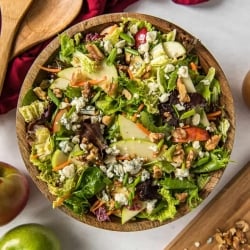 A bowl of salad with Apples and Cabbage.