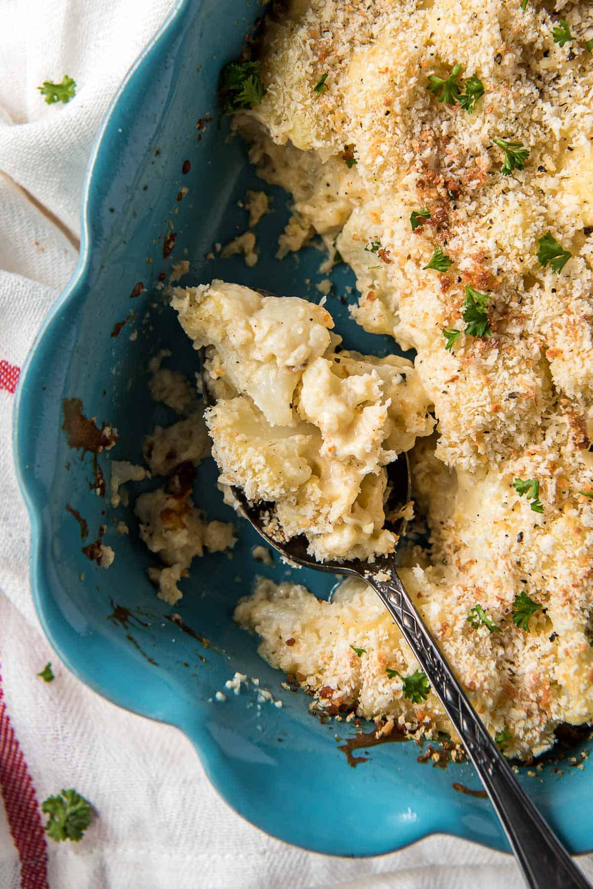 A spoon with a scoop of cauliflower gratin in a blue casserole dish.