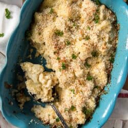 A cauliflower casserole in a blue dish topped with bread crumbs.