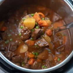 A ladle scoops some beef stew from an Instant Pot.