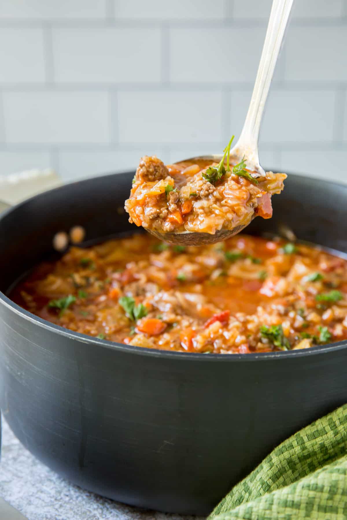 A ladle scoops up some of the soup from the pot.