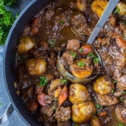 A ladle scoops up some stew from a pot.