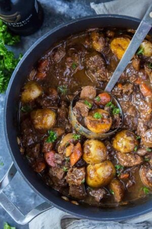 A ladle scoops up some stew from a pot.