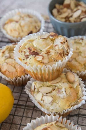 A close up of a Lemon Poppy Seed Muffin.