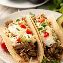 A white serving plate with two Chipotle Pork Street Tacos with halved avocados in the background.