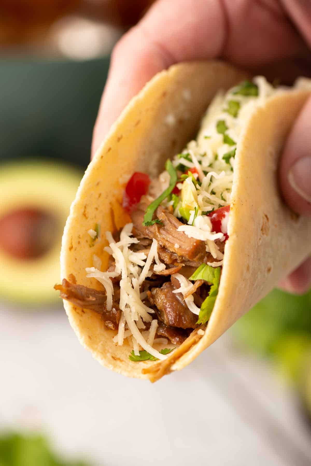 A hand holding a Pork Street Taco.