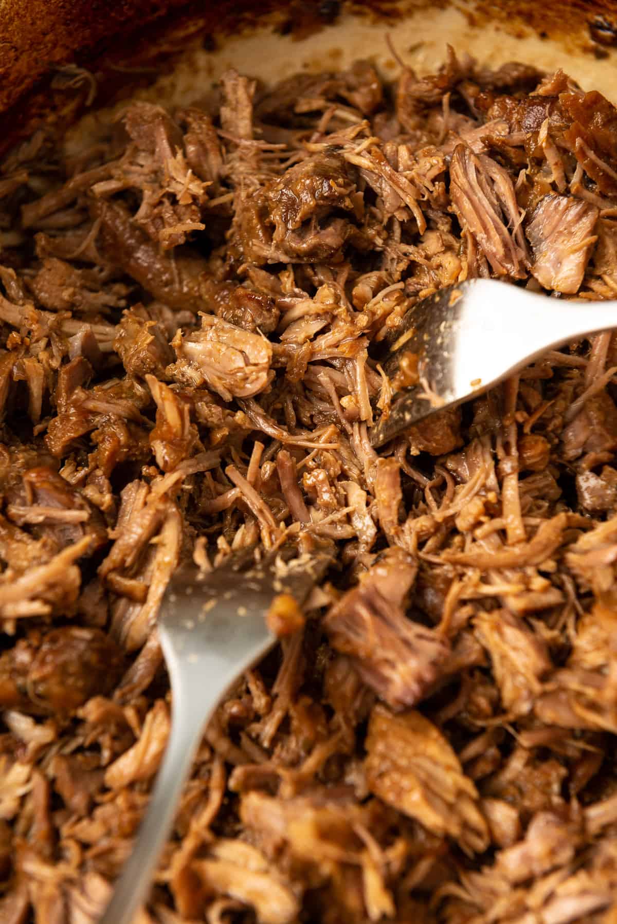 The tender pork is shredded with two forks into the sauce in the Dutch oven.