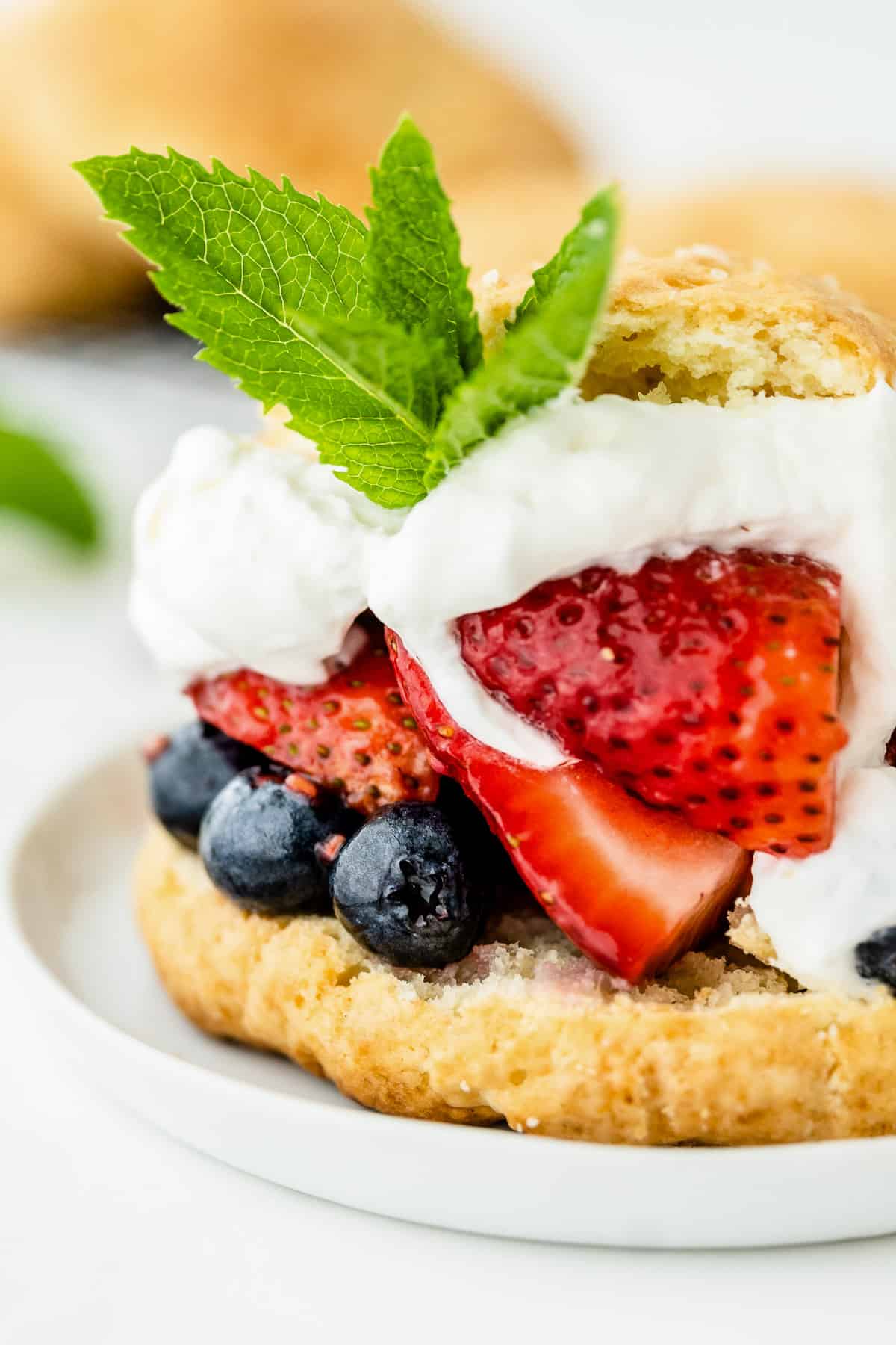 A closeup of a shortcake stuffed with strawberries, raspberries, blueberries and whipped cream on a white plate.