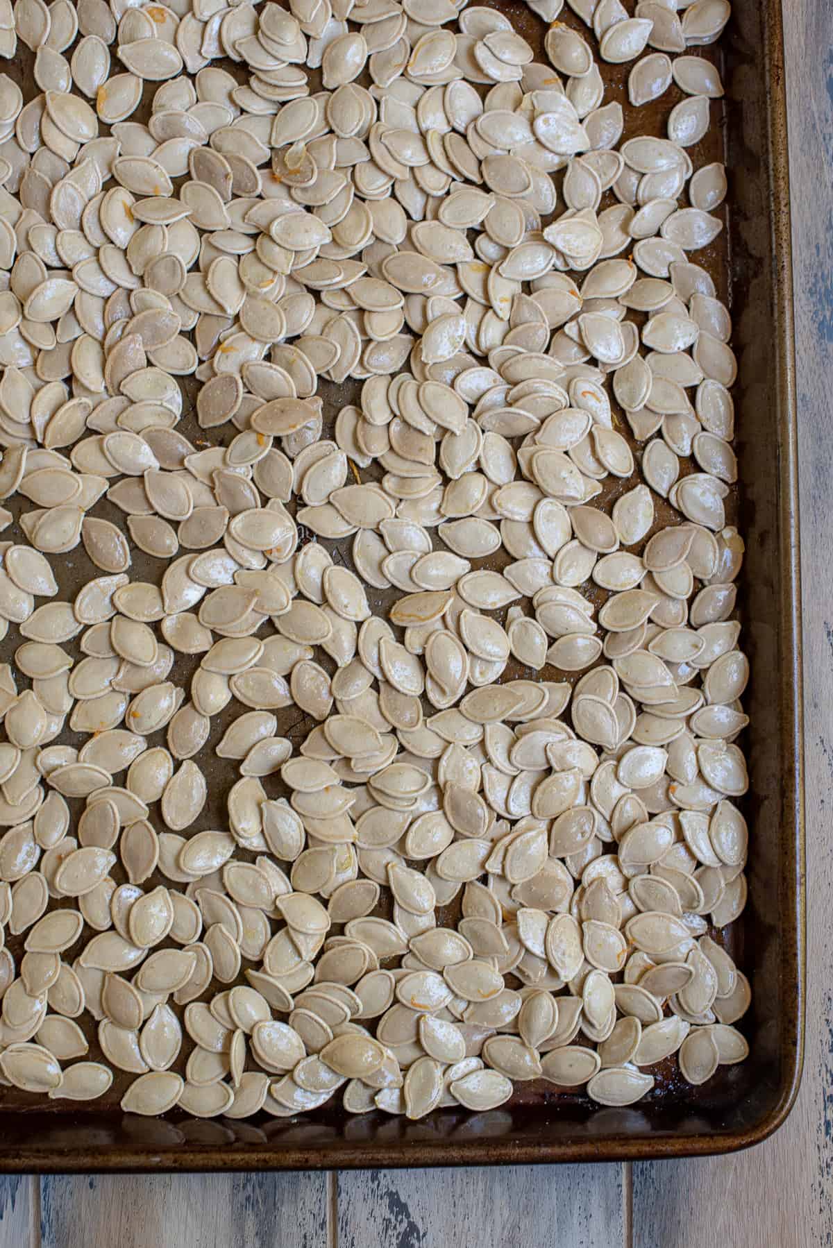 The rinsed seeds are transferred to a baking sheet to dry overnight.